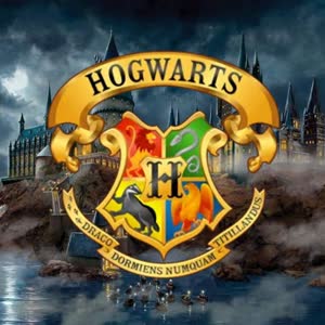 Hogwarts University